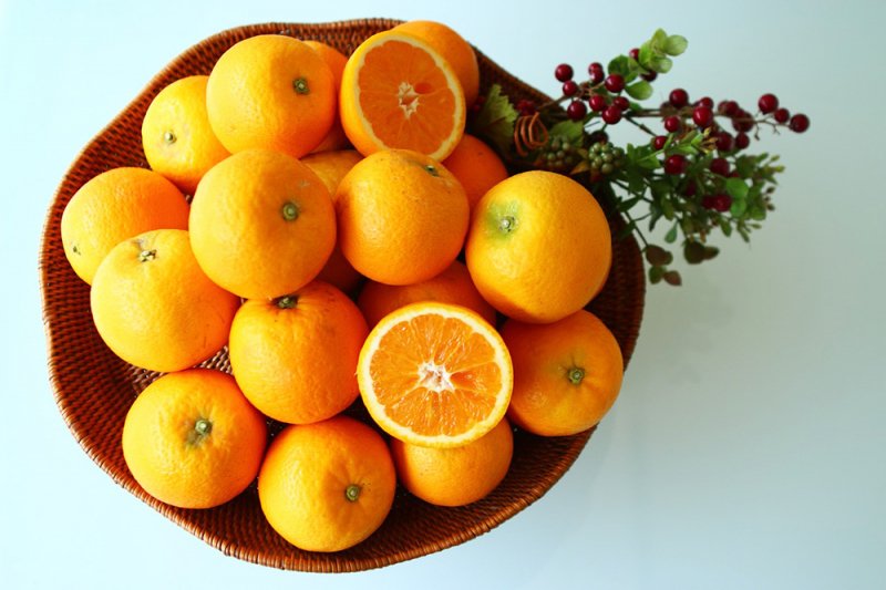 主井農園 バレンシアオレンジ